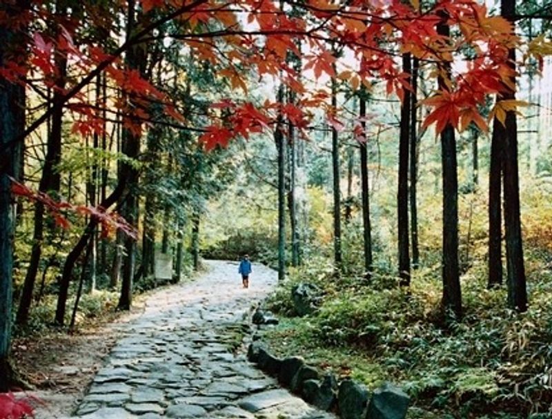 Gifu Private Tour - Sentier pavé d’OCHIAI