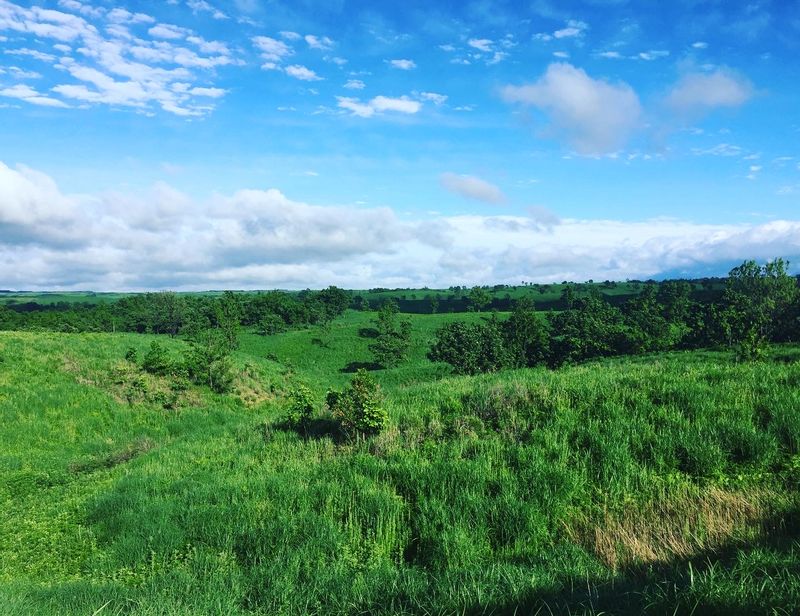 Kumamoto Private Tour - Aso