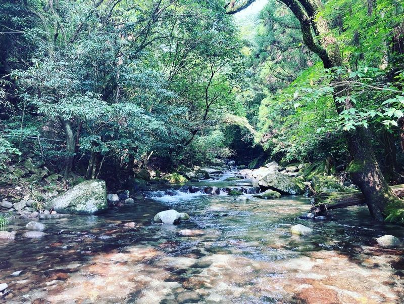 Kumamoto Private Tour - Takema Gorger in Yamaga