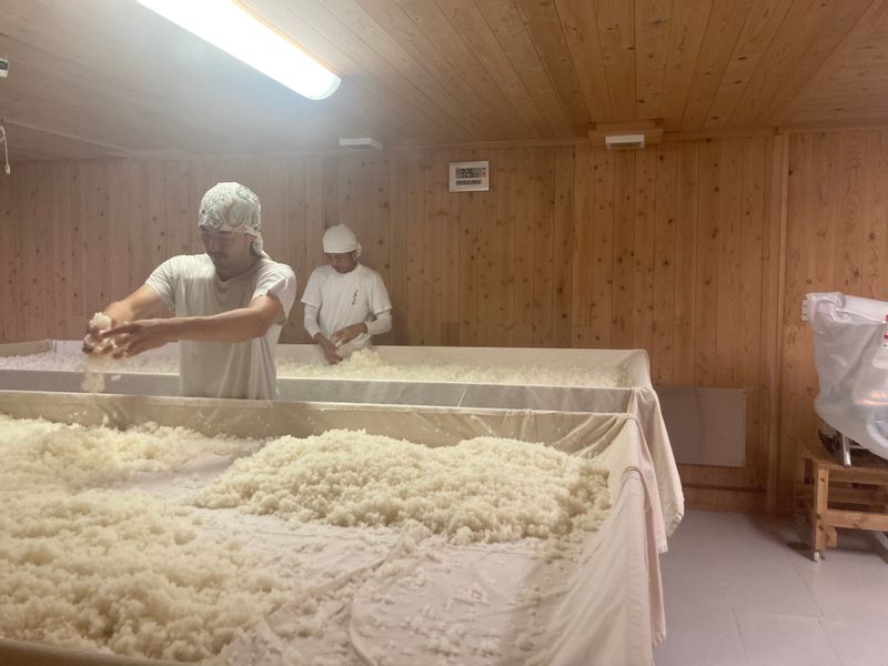 Kumamoto Private Tour - Sake Brewery in Tamana