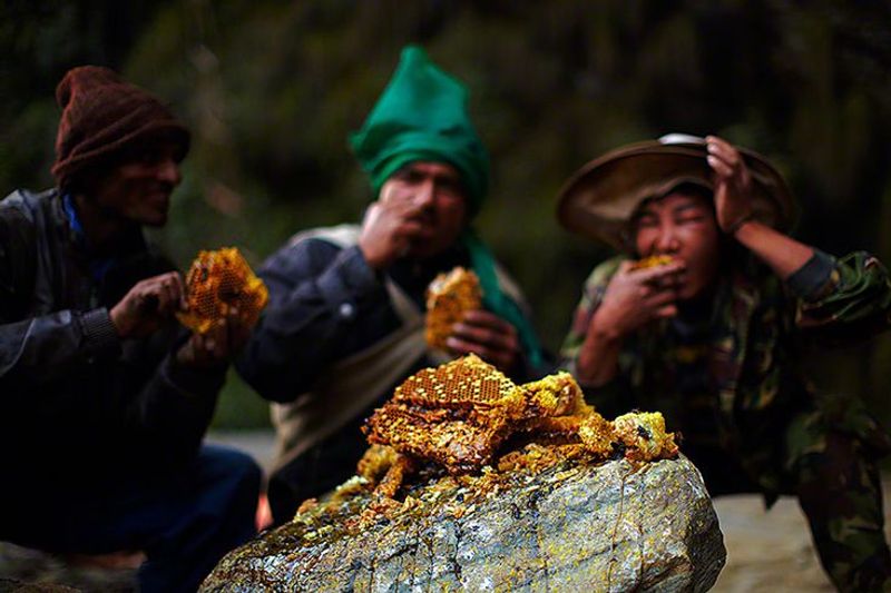 Kathmandu Private Tour - Honey hunters enjoy having honey