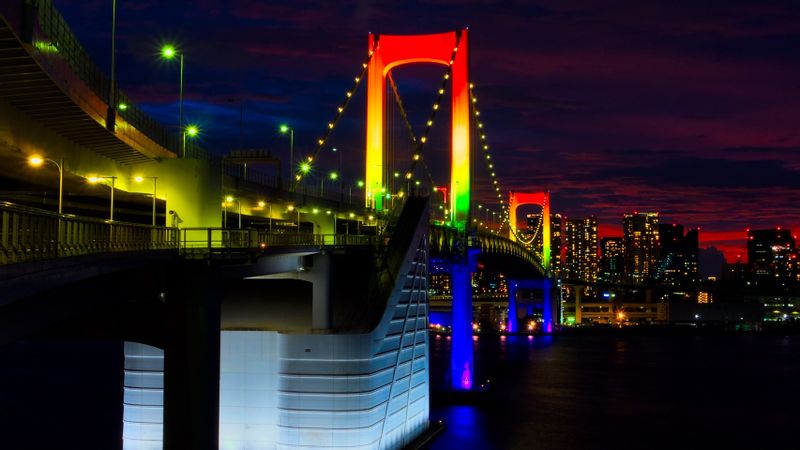 Tokyo Private Tour - Rainbow Bridge