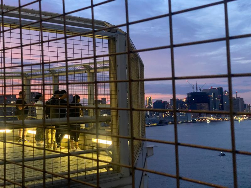 Tokyo Private Tour - viewing spots on the bridge