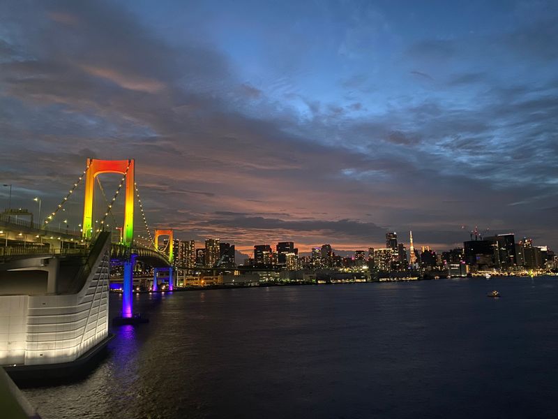 Tokyo Private Tour - view of Rainbow Bridge and Tokyo Tower