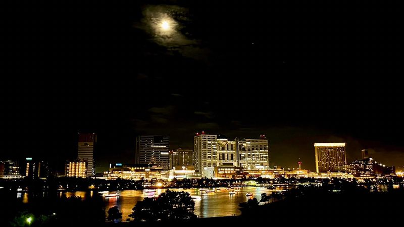 Tokyo Private Tour - view of Odaiba side which you can see from the bridge