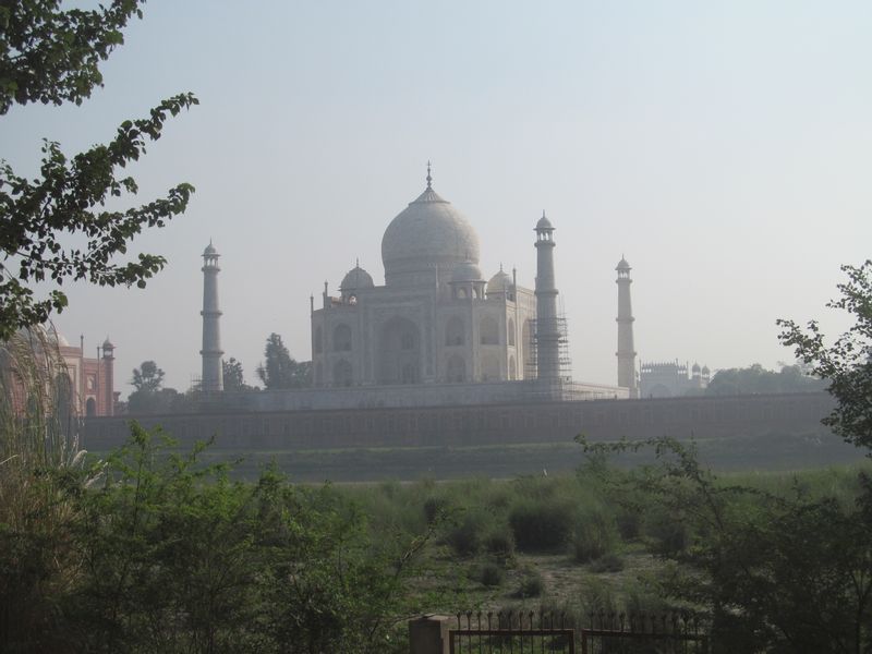 Delhi Private Tour - null