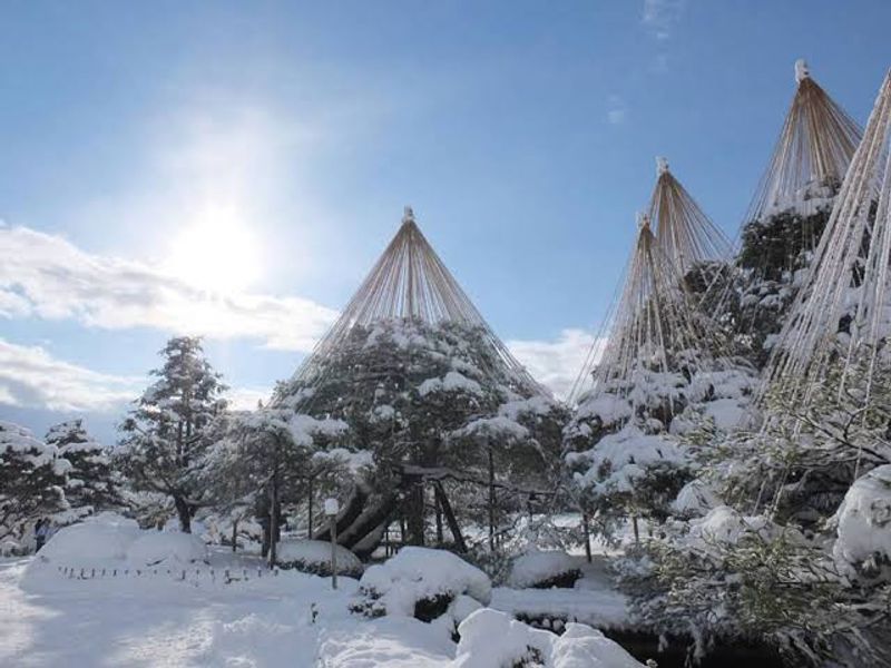 Kanazawa Private Tour - Kenrokuen Garden in Winter