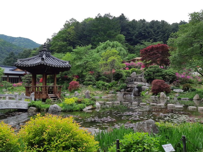 Seoul Private Tour - null