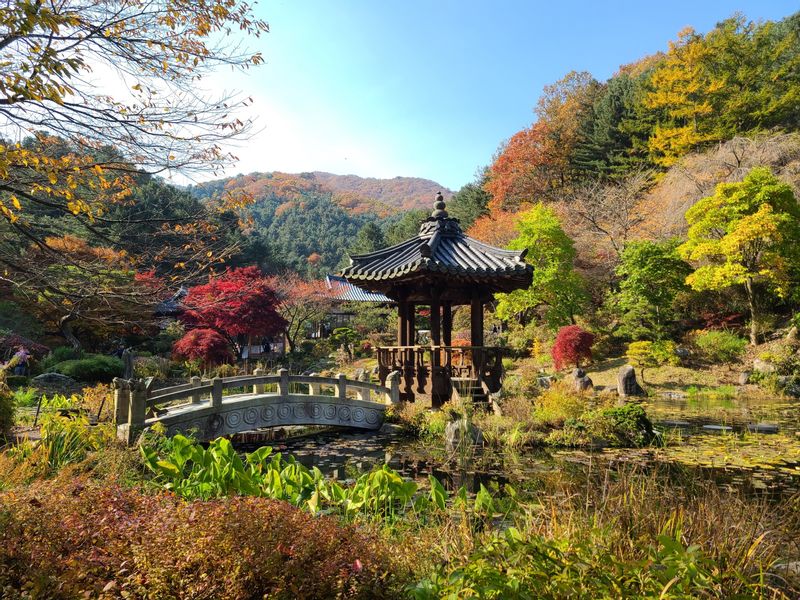 Seoul Private Tour - null