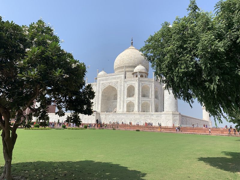 Delhi Private Tour - null