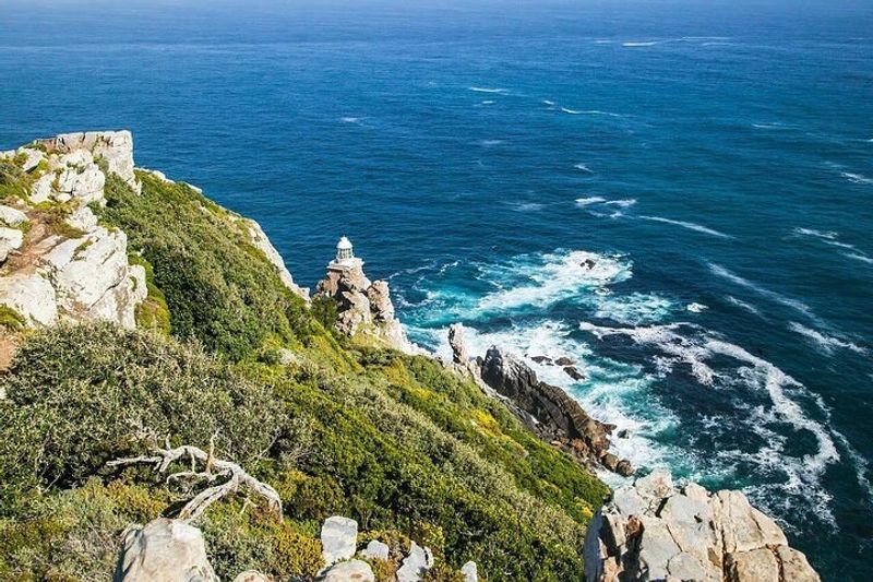 Cape Town Private Tour - null