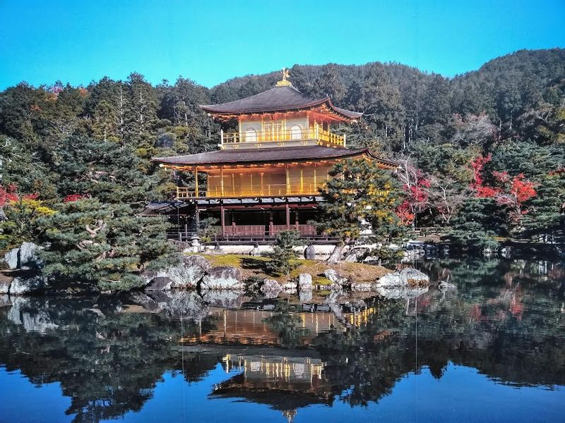 Kyoto Private Tour - The Golden Pavilion