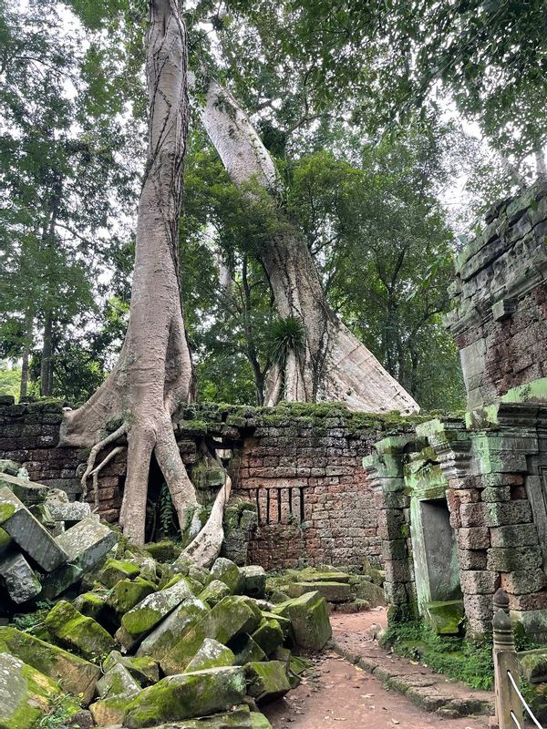 Siem Reap Private Tour - Ta Pramh temple