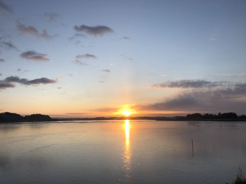 Tokyo Private Tour - Sunrise of the lake Izunuma