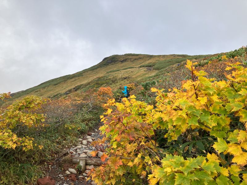 Tokyo Private Tour - Mt. Kurikoma autumn leaves 