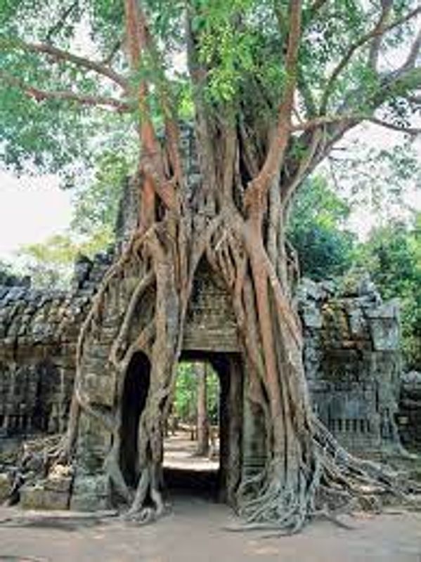 Siem Reap Private Tour - Ta Sam temple