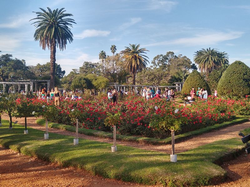 Buenos Aires Private Tour - The Rose Garden