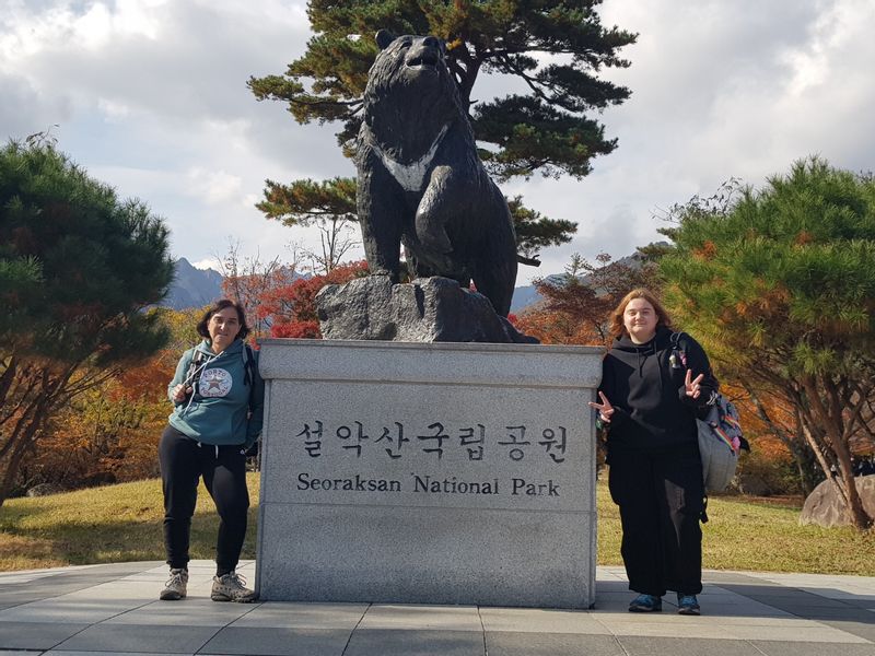 Seoul Private Tour - null