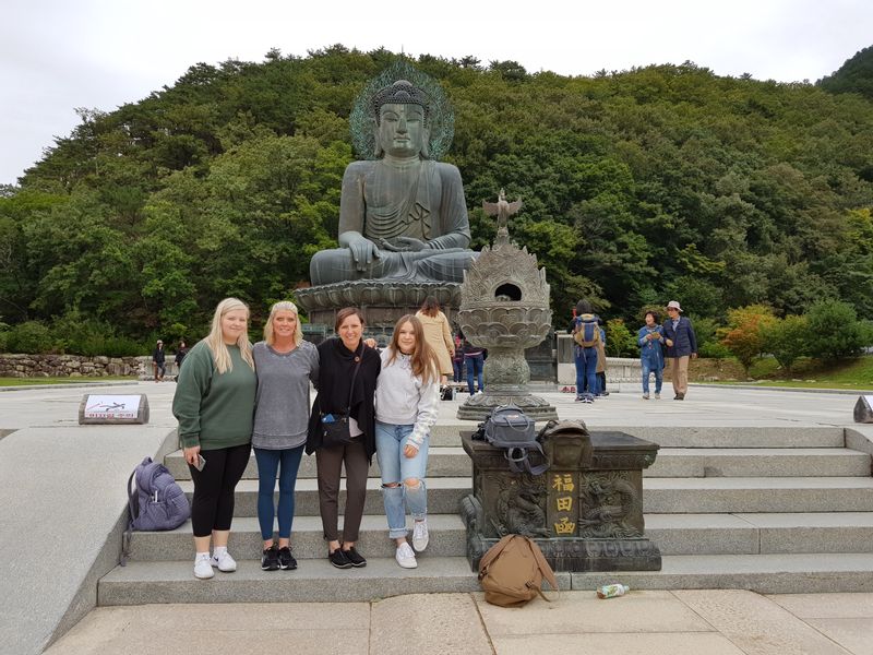 Seoul Private Tour - null