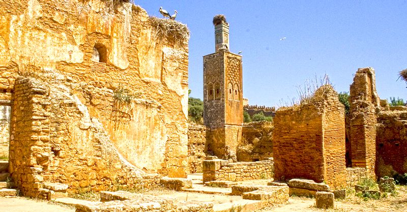 Rabat Private Tour - Chellah Site