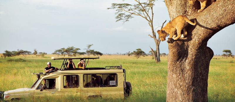 Arusha Private Tour - Serengeti