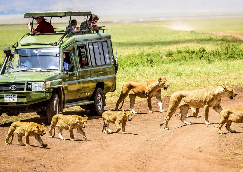 Arusha Private Tour - Ngorongoro