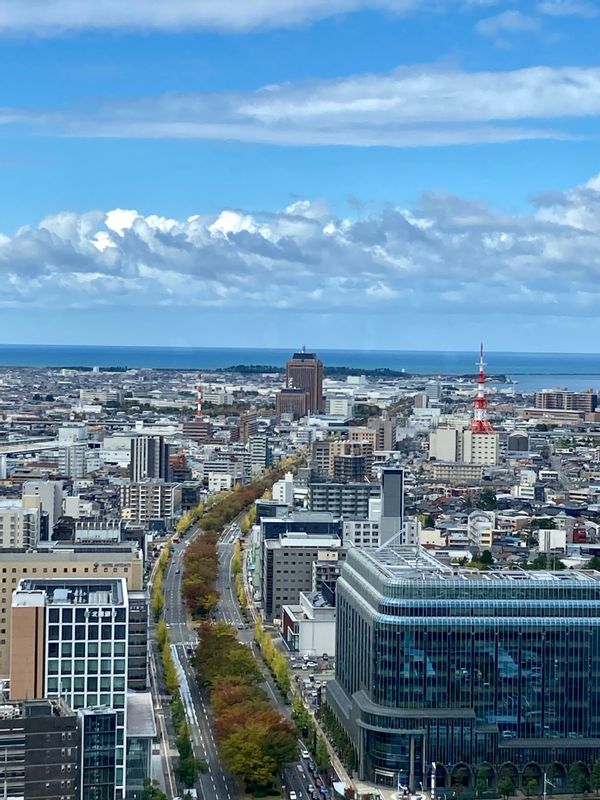 Kanazawa Private Tour - Panoramic view of the city