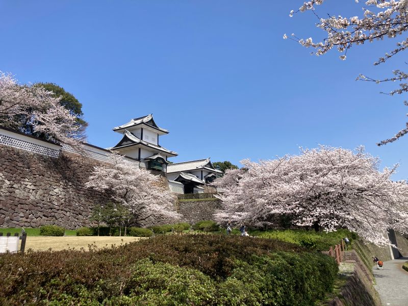 Kanazawa Private Tour - Ishikawa mon gate