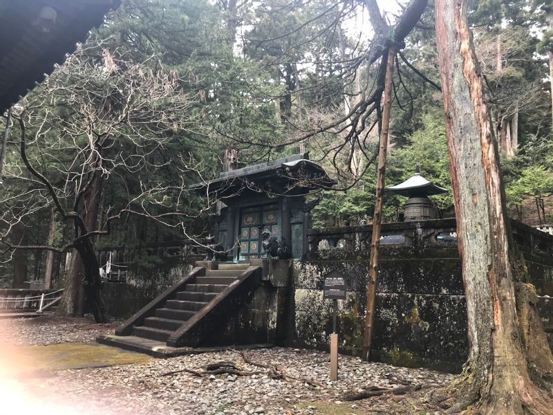 Nikko Private Tour - This is where Ieyasu sleeps.