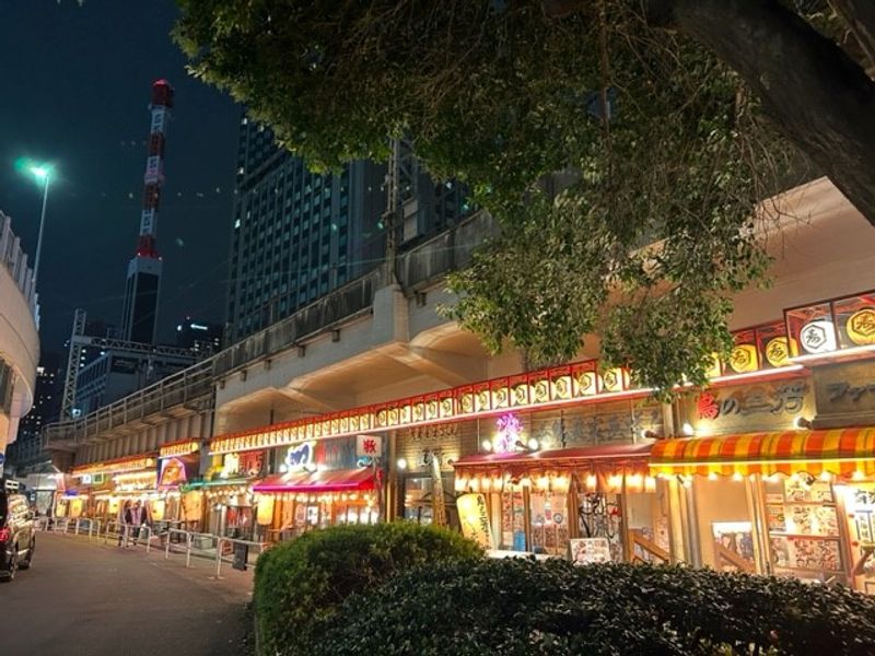 Tokyo Private Tour - Izakaya alley in Yurakucho2