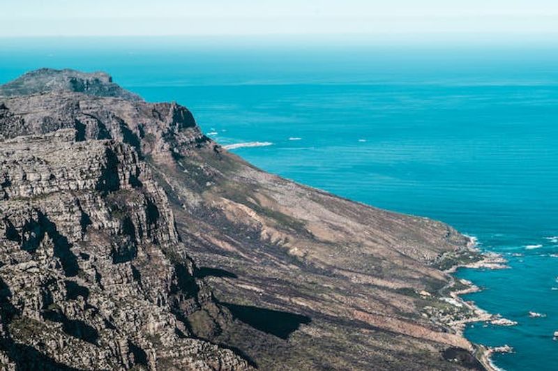 Western Cape Private Tour - Peninsula Route from Table Mountain to Beaches