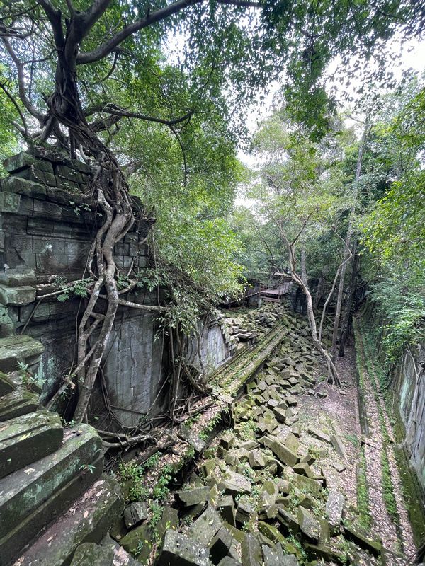 Siem Reap Private Tour - Jungle view of Beng Mealea temple