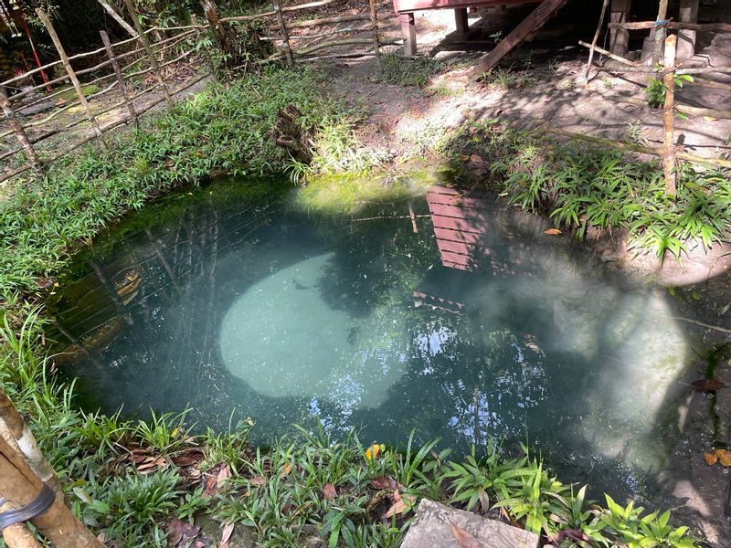 Siem Reap Private Tour - Sacred well at Thousand Lingas River