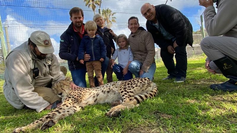 Cape Town Private Tour - Cheetah outreach