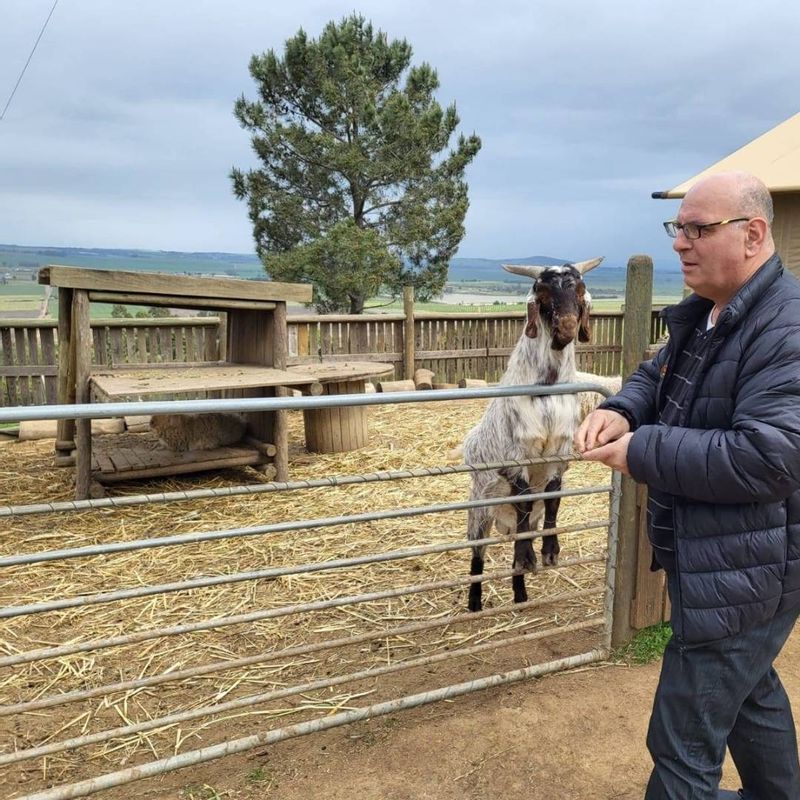 Cape Town Private Tour - Alpaca farm