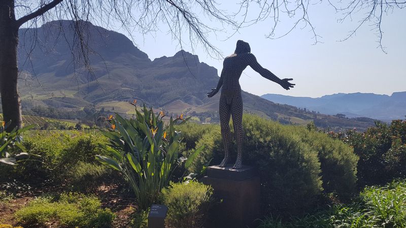 Cape Town Private Tour - Winelands