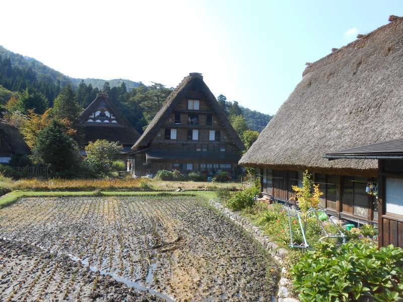 Shirakawago Private Tour - Myozenji temple and Gassho farmhouses.