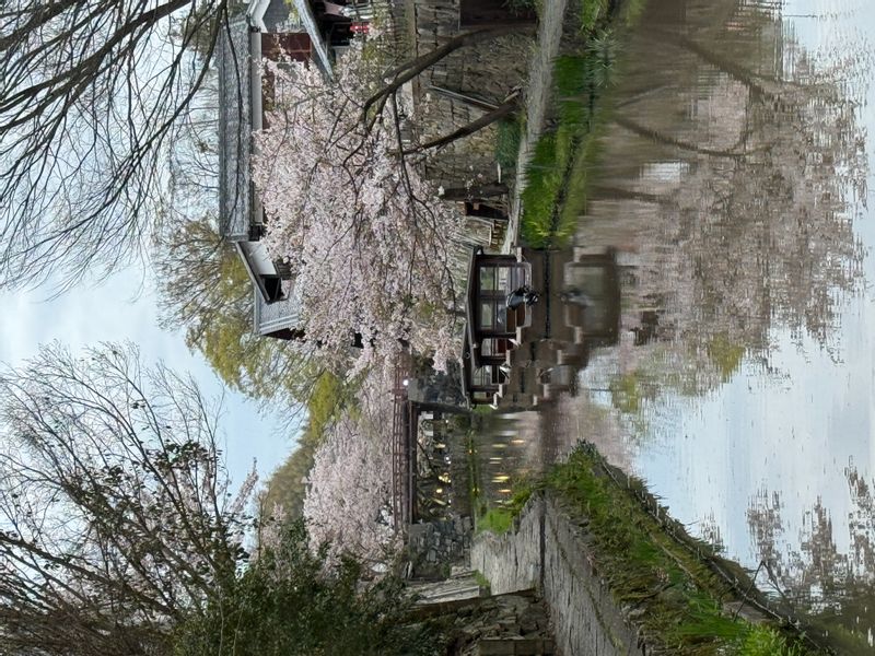 Shiga Private Tour - Hachiman Moat 1