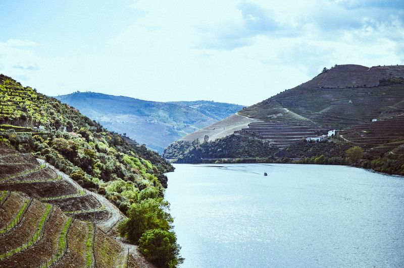 Porto Private Tour - Sometimes we just like to enjoy the silence too!