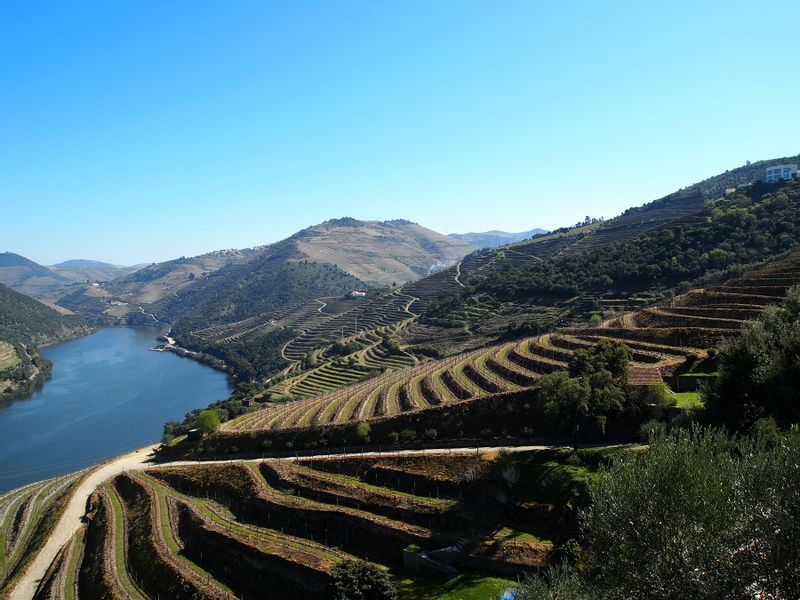 Porto Private Tour - Douro Valley at all its splendor. Come learn more about the vineyards on the mountains' terraces!