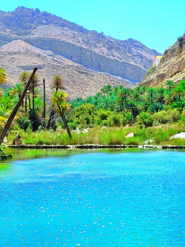 Muscat Private Tour - Wadi Bani Khalied 