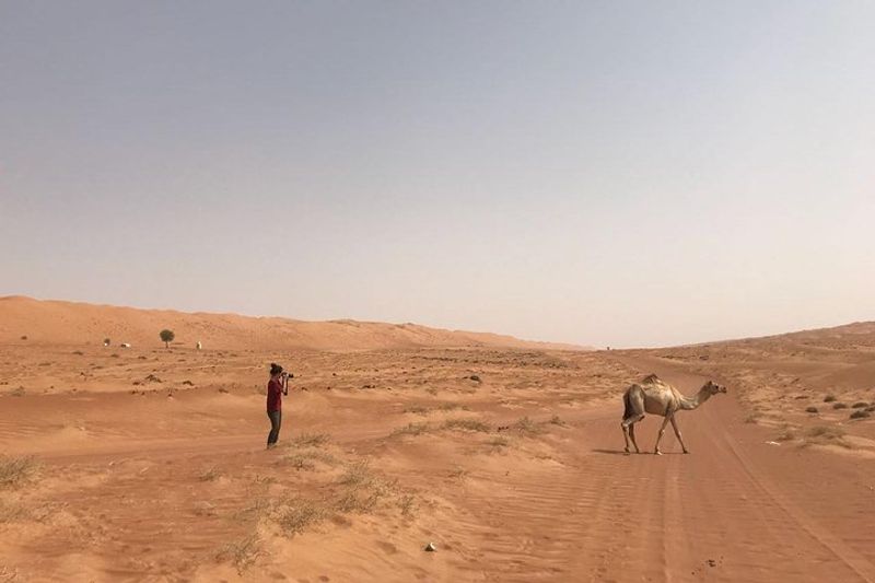 Muscat Private Tour - Desert tour take photo 