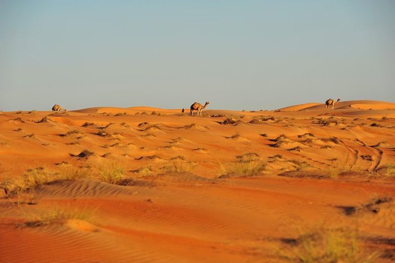 Muscat Private Tour - Beni Wahiba Desert