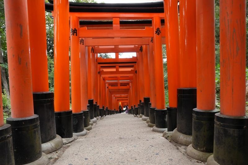 Kyoto Private Tour - Fushimi Inari Shrine