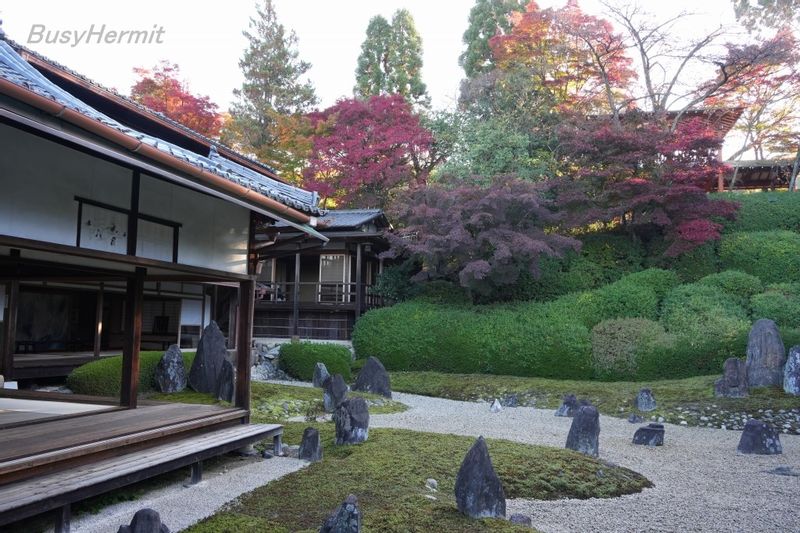 Kyoto Private Tour - It has a nice nickname 'Rainbow Mos Temple'