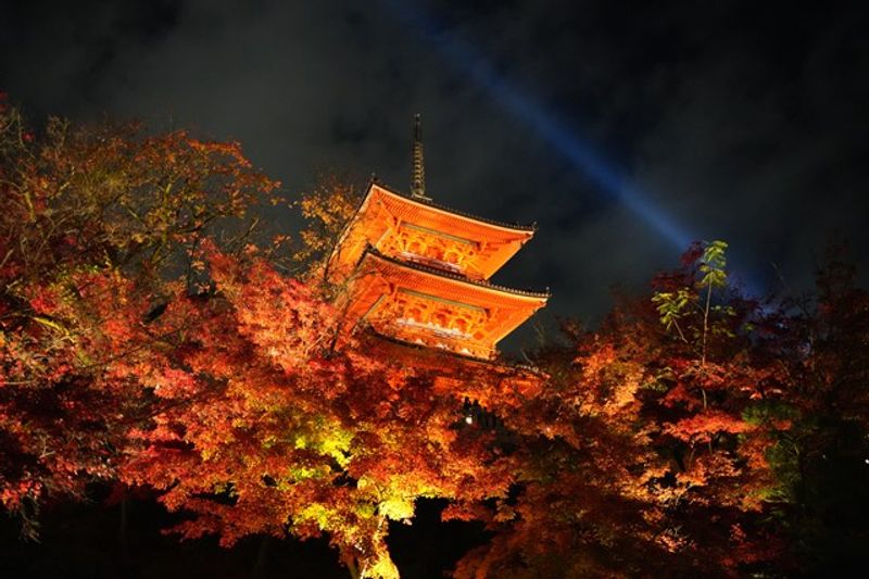 Kyoto Private Tour - Kiyomizudera Temple