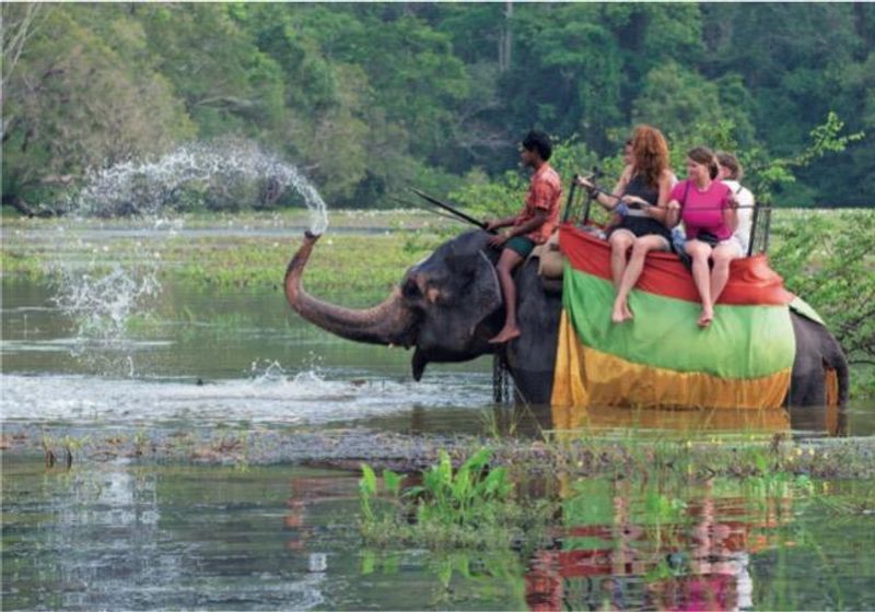 Colombo Private Tour - Picture at Sigiriya Village.