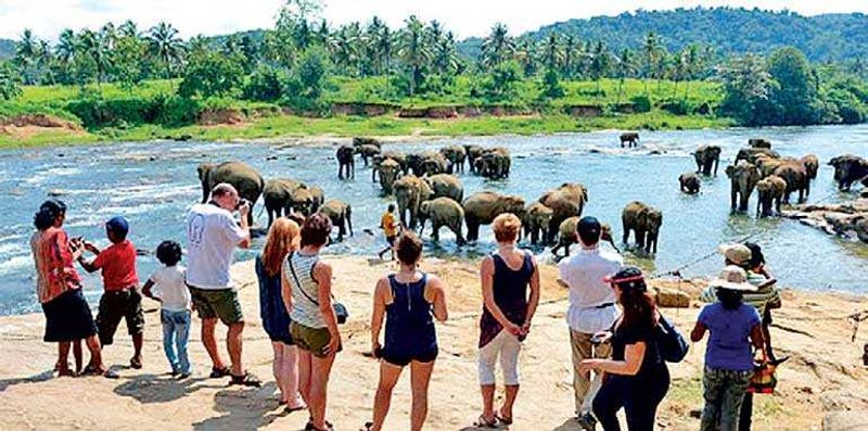 Colombo Private Tour - Picture at on the way to Pinnawala Elephant Orpanage.