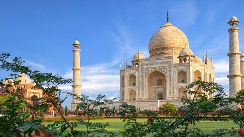 Delhi Private Tour - null