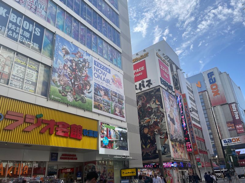 Tokyo Private Tour - Biggest anime merch building in Akihabara